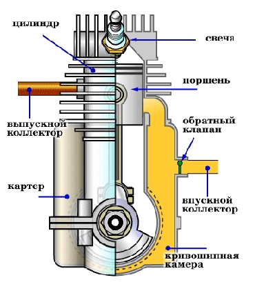 Схема двухтактного двигателя бензопилы